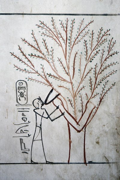 Luxor, Théba: A Királyok Völgye. Thutmosis (Tuthmosis vagy Thutmes) III (-1504 - -1450), egyiptomi fáraó sírja. alkotó: School Egyptian