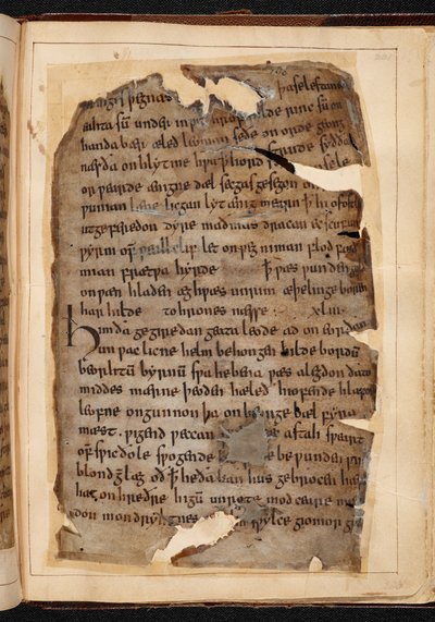 Beowulf oldala fóliókból, amelyeket néha „Nowell-kódexnek” hívnak alkotó: School English