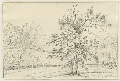 Cannock Chase: toll- és ceruzarajz, nd [?19. század] (rajz) alkotó: School English