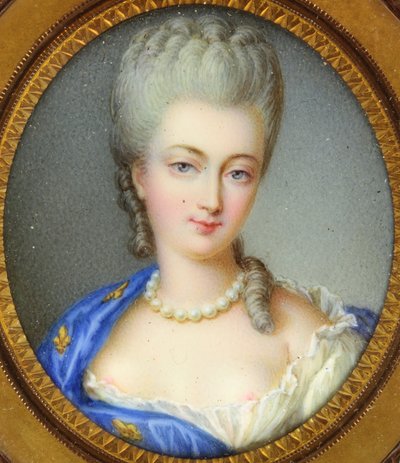 Egy Bourbon hercegnő, Marie-Louise-Elisabeth d