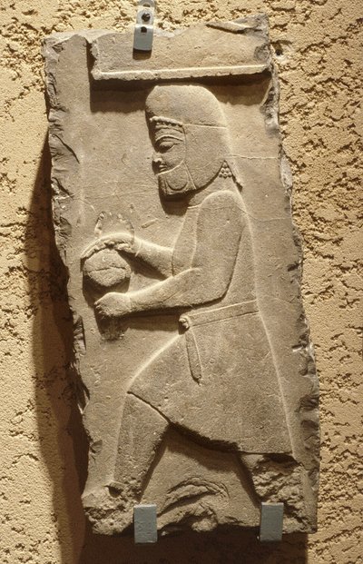 Egy méd a perszepolisi királyi udvarban egy fedett edényt cipelő Achaemenid c. ie 500 (mészkő) alkotó: School Iranian