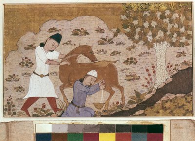 Onager Milking, 15. század vége (akvarell, gouache, fehér szín, tinta papíron) alkotó: School Iranian
