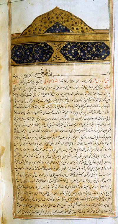 Oldal az orvostudomány kánonjából (al-Qānūn fī aṭ-Ṭibb), Avicenna alkotó: School Iranian