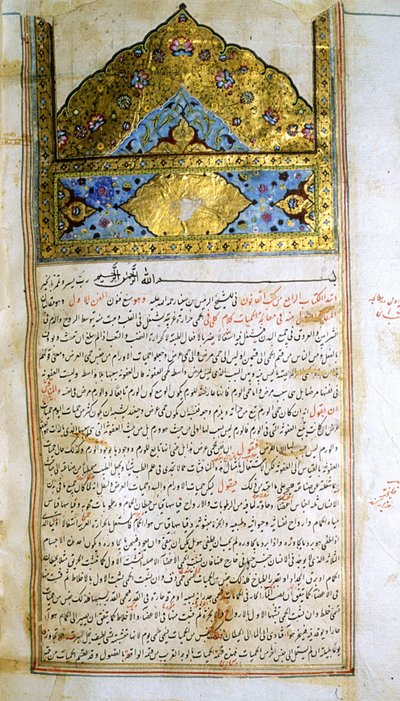 Oldal az orvostudomány kánonjából (al-Qānūn fī aṭ-Ṭibb), Avicenna alkotó: School Iranian
