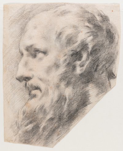 Profil fej (szén, papír) alkotó: School Italian