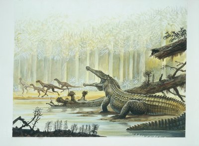 Rutiodon Fabrosaurusszal a háttérben, triász időszak (színes litho) alkotó: School Italian