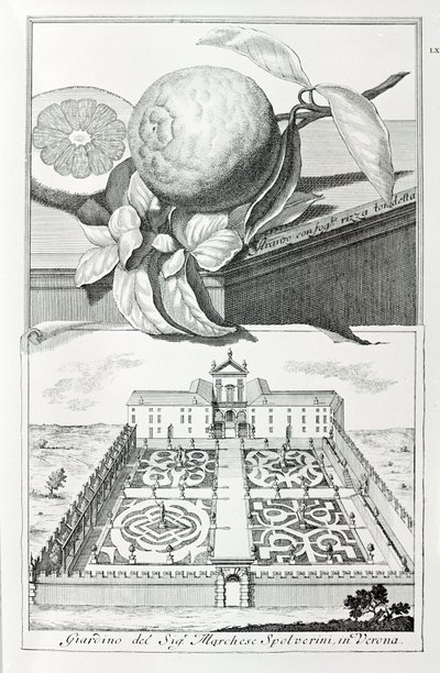 Veronai Spolverini márki villája, A. Volkamer "Villák, kertek és tájak Velencében" című művéből (metszet) alkotó: School Italian