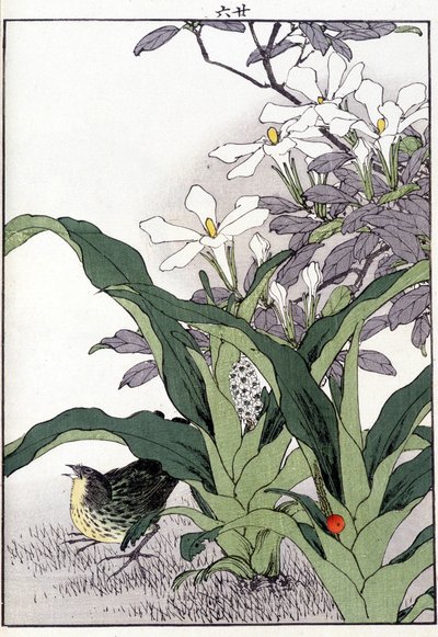 Madár a virágokban - japán nyomtatás alkotó: Japanese School