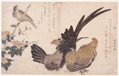 Kakas, Tyúk és Madár alkotó: School Japanese