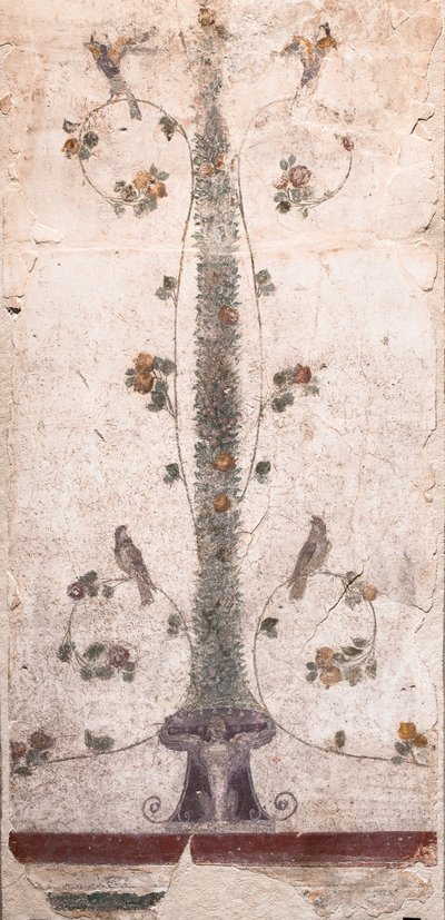  alkotó: School Roman