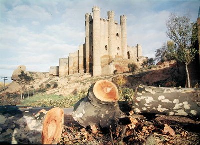 A Castillo de Coyanza, a valenciai grófok által a 14-15. században épített kastély (fotó) alkotó: School Spanish