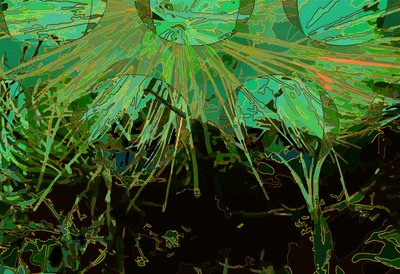 Articsóka_abst_horz2 (digitális) alkotó: Scott J. Davis