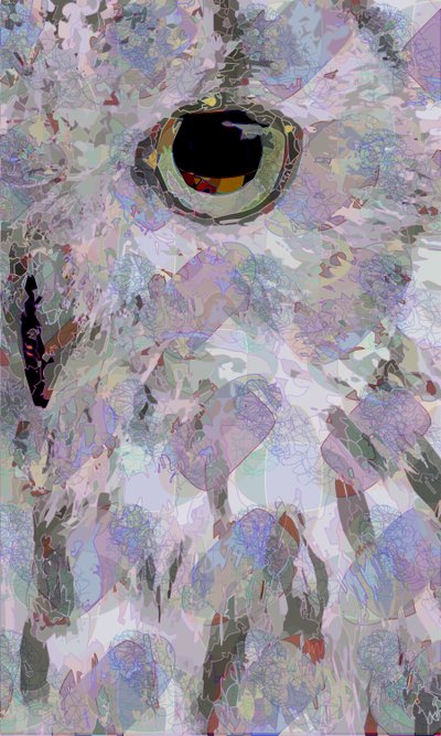 Bagoly3 (digitális) alkotó: Scott J. Davis
