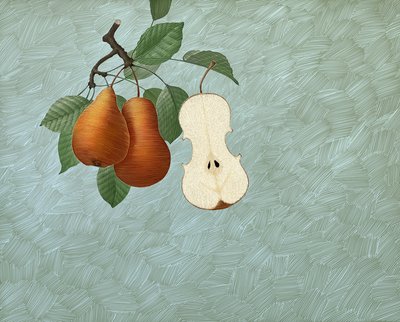  alkotó: Scott McKowen