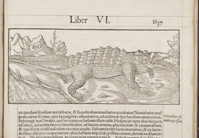 Cosmographia, Fol 1137, 1544 alkotó: Sebastian Munster