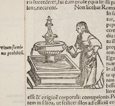 Cosmographia, a Fol 202 részlete alkotó: Sebastian Munster