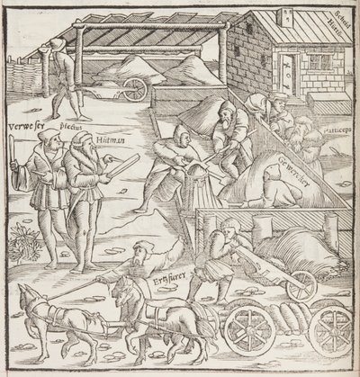 Cosmographia, Fol 436 részlete (metszet) alkotó: Sebastian Munster