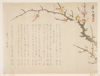 Virágzó szilva, 1837. január (színes fanyomat) alkotó: Seik Hashimoto
