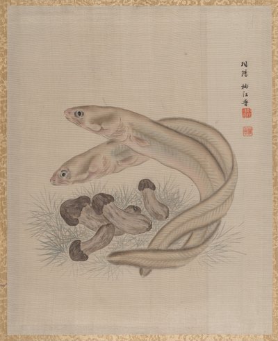 Angolna, kb. 1890-92. alkotó: Seki Shuko