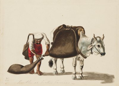 Vízhordozó, c1810 alkotó: Sewak Ram