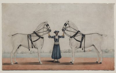 Egy Syce (vőlegény) két kocsis lóval, 1845 körül (átlátszatlan akvarell papíron) alkotó: Shaik Muhammad Amir of Karraya (attr. to)