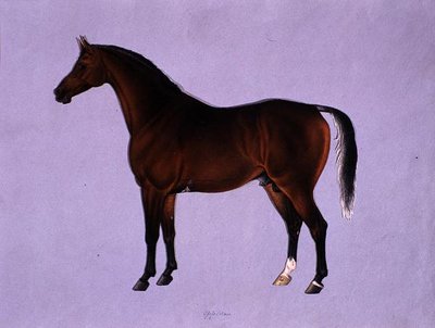 Oppidan, 1840 körül (akvarell papíron) alkotó: Shaik Muhammad Amir of Karraya