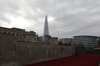 Blood Swept Lands and Seas of Red, Tower of London, 2014. alkotó: Sheldon Marshall