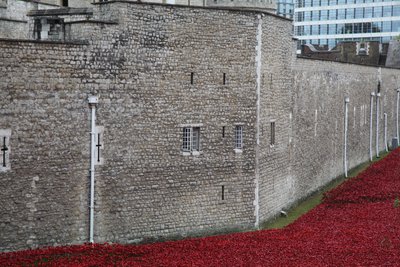 Blood Swept Lands and Seas of Red, Tower of London, 2014. alkotó: Sheldon Marshall
