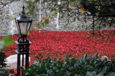 Blood Swept Lands and Seas of Red, Tower of London, 2014. alkotó: Sheldon Marshall
