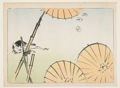  alkotó: Shibata Zeshin