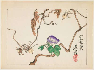  alkotó: Shibata Zeshin