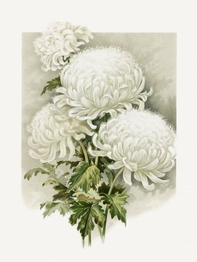 Alpheus Hardy asszony alkotó: Sidney Thomas Callowhill