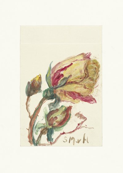 Roos alkotó: Sientje Mesdag van Houten