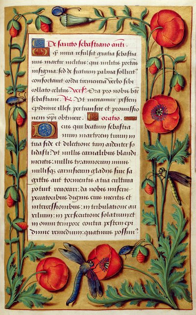 Add hozzá: 18855 f.103 Pipacsok és szitakötő, az Órák könyvéből, 1540 körül (vellum) alkotó: Simon Bening