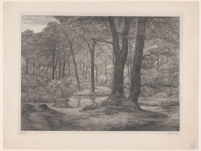 Erdő tóval és fekvő emberrel Teutoburgi erdő (erdőkép) (eredeti cím) alkotó: Simon Moulijn (signed by artist)