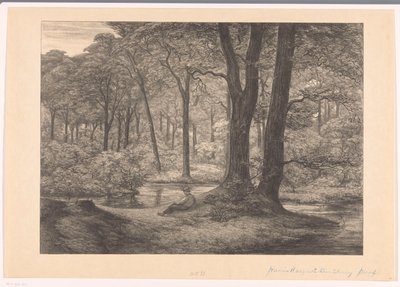 Kilátás a Hunnenschanokra a Veluwe-n The Hunnenshang (eredeti cím) alkotó: Simon Moulijn