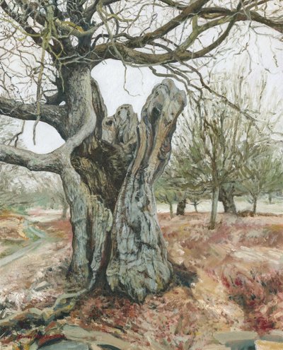 Öreg fa, Richmond Park, 2018 (olaj, vászon) alkotó: Simon Neville