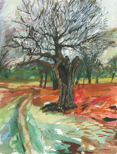 Öreg fa, Richmond Park, 2019 (akvarell ceruza és akrilfesték filctollal, papír) alkotó: Simon Neville