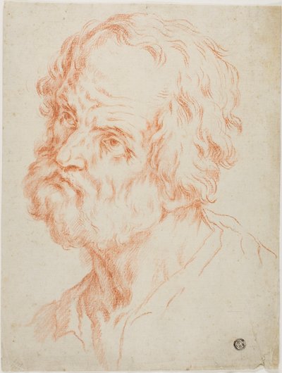 Férfi fej alkotó: Simone Cantarini