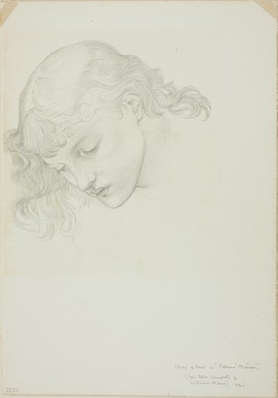 Fej, Vénusz tükör tanulmánya alkotó: Sir Edward Burne Jones