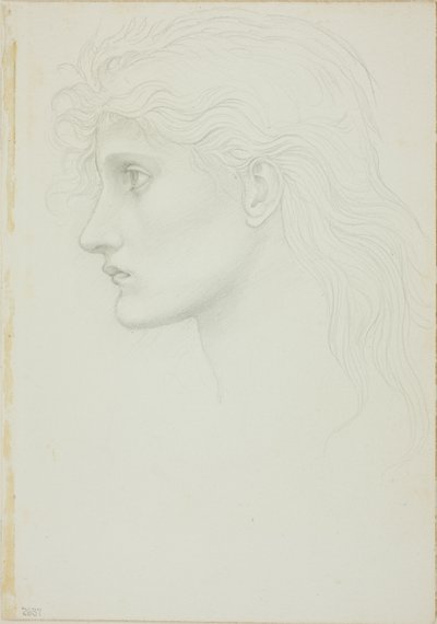Balra néző lány vezetője alkotó: Sir Edward Burne Jones