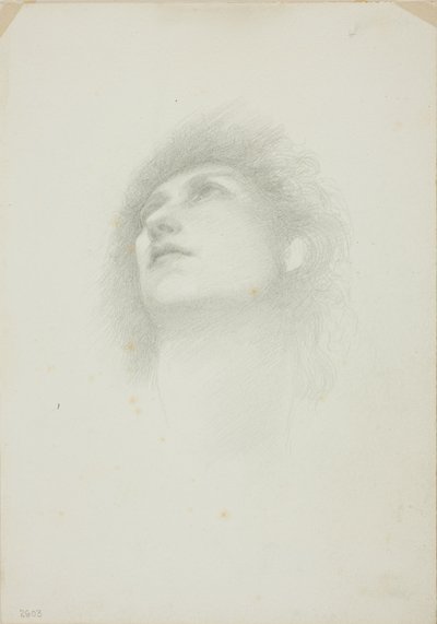 Felfordított arcú nő feje alkotó: Sir Edward Burne Jones
