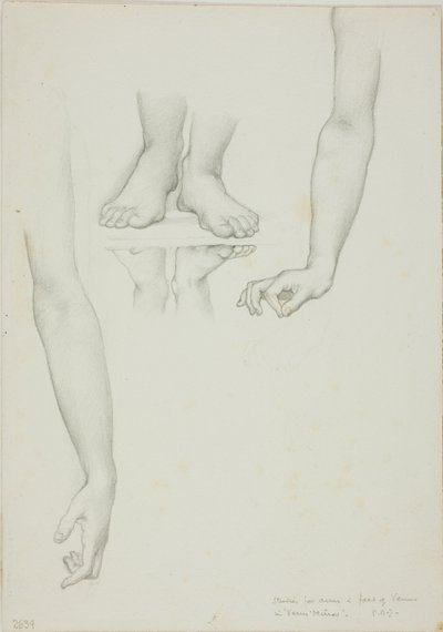 Tanulmány a Vénusz tükréhez: Vénusz karjai és lábai alkotó: Sir Edward Burne Jones
