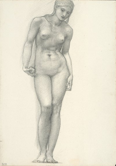 Vénusz aranyalmával a jobb kezében, a trójai triptichonhoz (vázlatfüzet #2639) alkotó: Sir Edward Burne Jones