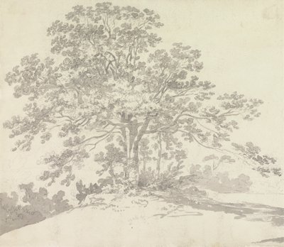 Fa alkotó: Sir George Howland Beaumont seventh Baronet