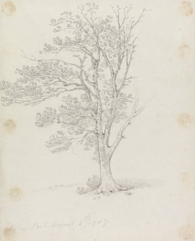 Fa az Easton Parkban alkotó: Sir George Howland Beaumont seventh Baronet