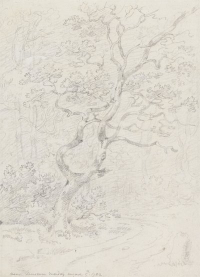 Fák, Lausanne közelében alkotó: Sir George Howland Beaumont seventh Baronet