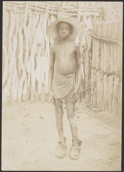 A civilizáció hajnala alkotó: Sir Henry Harry Hamilton Johnston