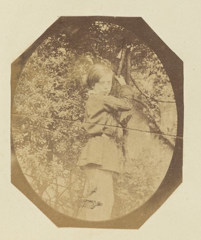 [Fiatal fiú portréja] alkotó: Sir John Joscelyn Coghill
