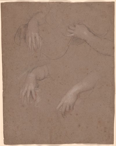 Kezek rajzai alkotó: Sir Peter Lely